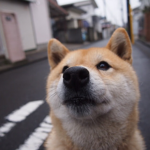 横扫的艺术，从团队风暴到个人火焰