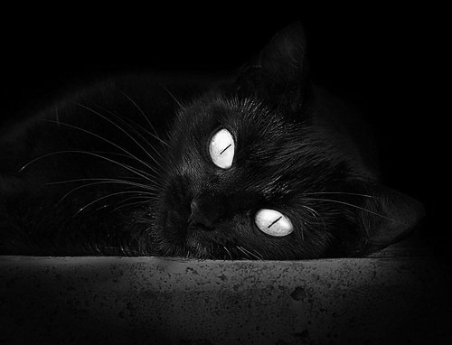 跨越维度的轻取，当团队风暴遭遇孤星闪耀