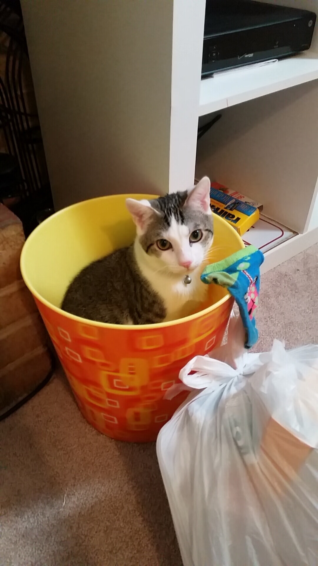 赛道上的两种战争，迈凯伦力克哈斯，维斯塔潘远方的纪录轰鸣