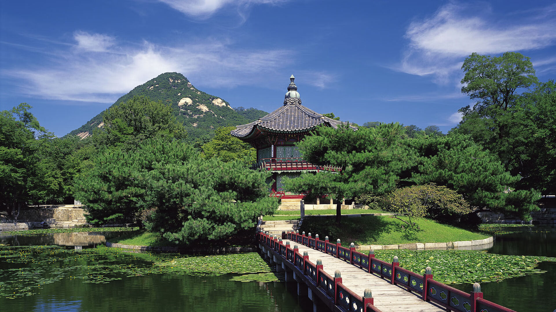 蓝鹰羽翼上的东方印记，戈麦斯如何编织足球与文化的唯一纽带