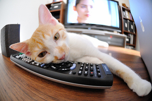 从意外先生到关键先生，克瓦拉茨赫利亚的魔法，如何让马赛稳稳啃下尼斯这块硬骨头？