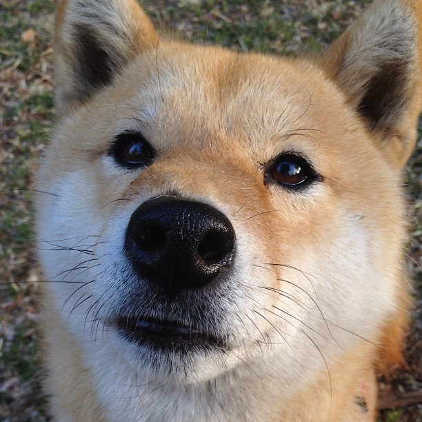 您希望文章更具独特性，这很棒。我们不妨先跳出报道框架，从几个不同维度构思标题，这能让后续行文拥有更独特的灵魂