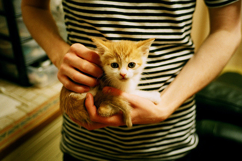 爱游戏大厅-双重统治力，当凯尔特人的团队浪潮吞没国王，哈利伯顿在欧冠的星空下独自为王