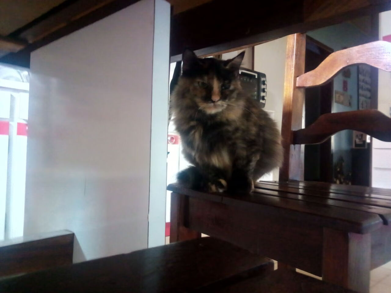 钢索缠羽翼，利刃破长空—辽宁队窒息式防守锁死老鹰，布伦森斩获关键先生