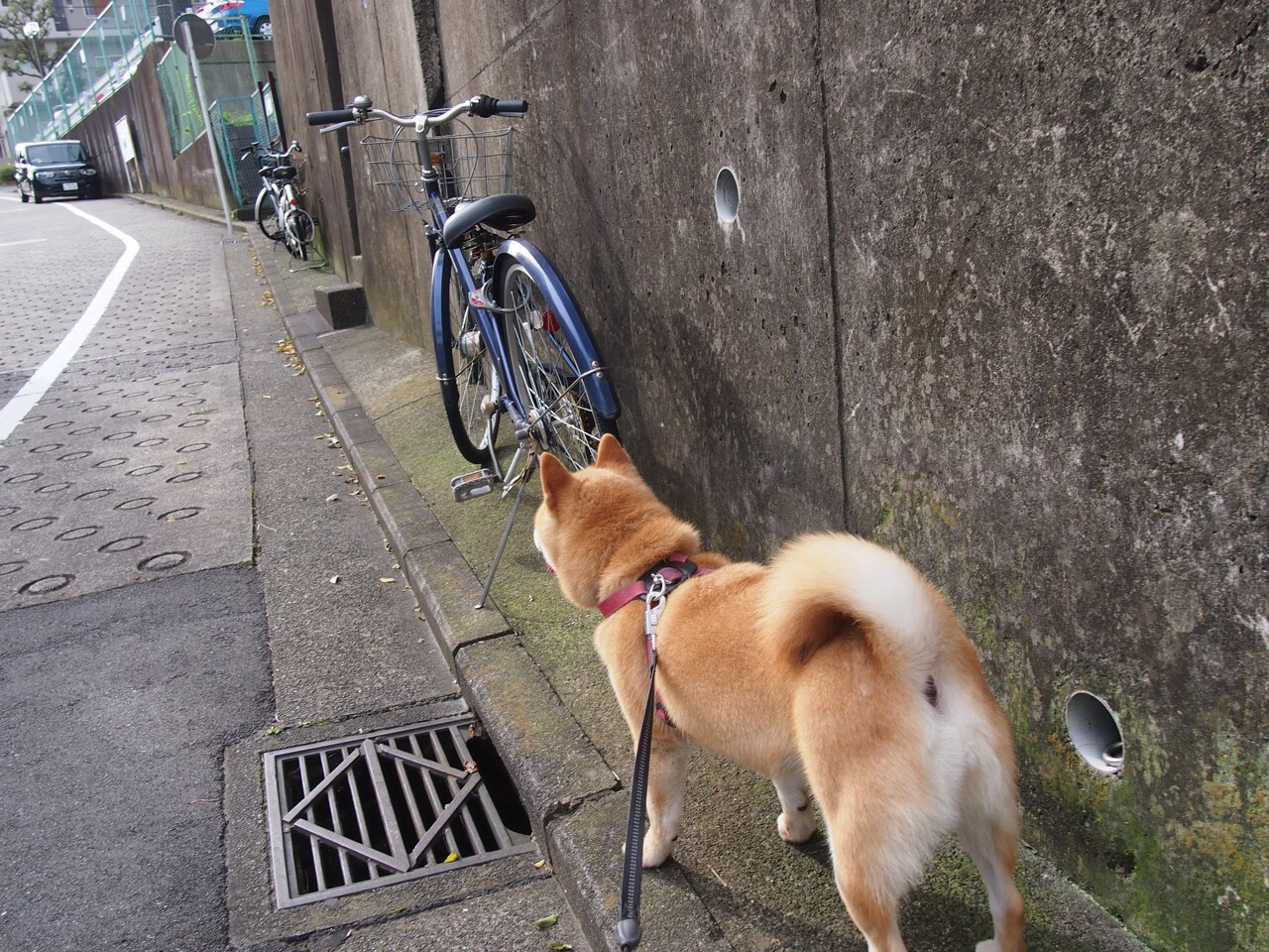 当欧冠的星光褪去，他正在世界的另一端定义自己