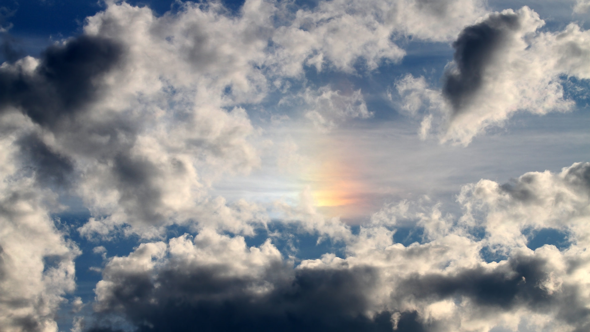 欧文赛后评分拉满，紫金军团以何为矛，强压南海岸热浪？