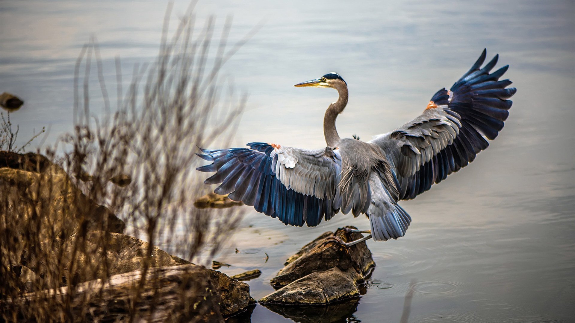 绝杀之后，一球与一人的双重史诗