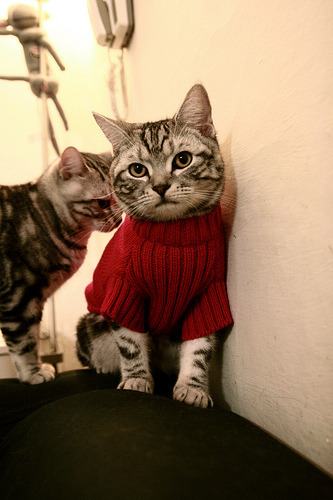 爱游戏官方-从绝境到奇迹，奥斯梅恩一锤定音，乌克兰爆冷希腊背后的战术与意志