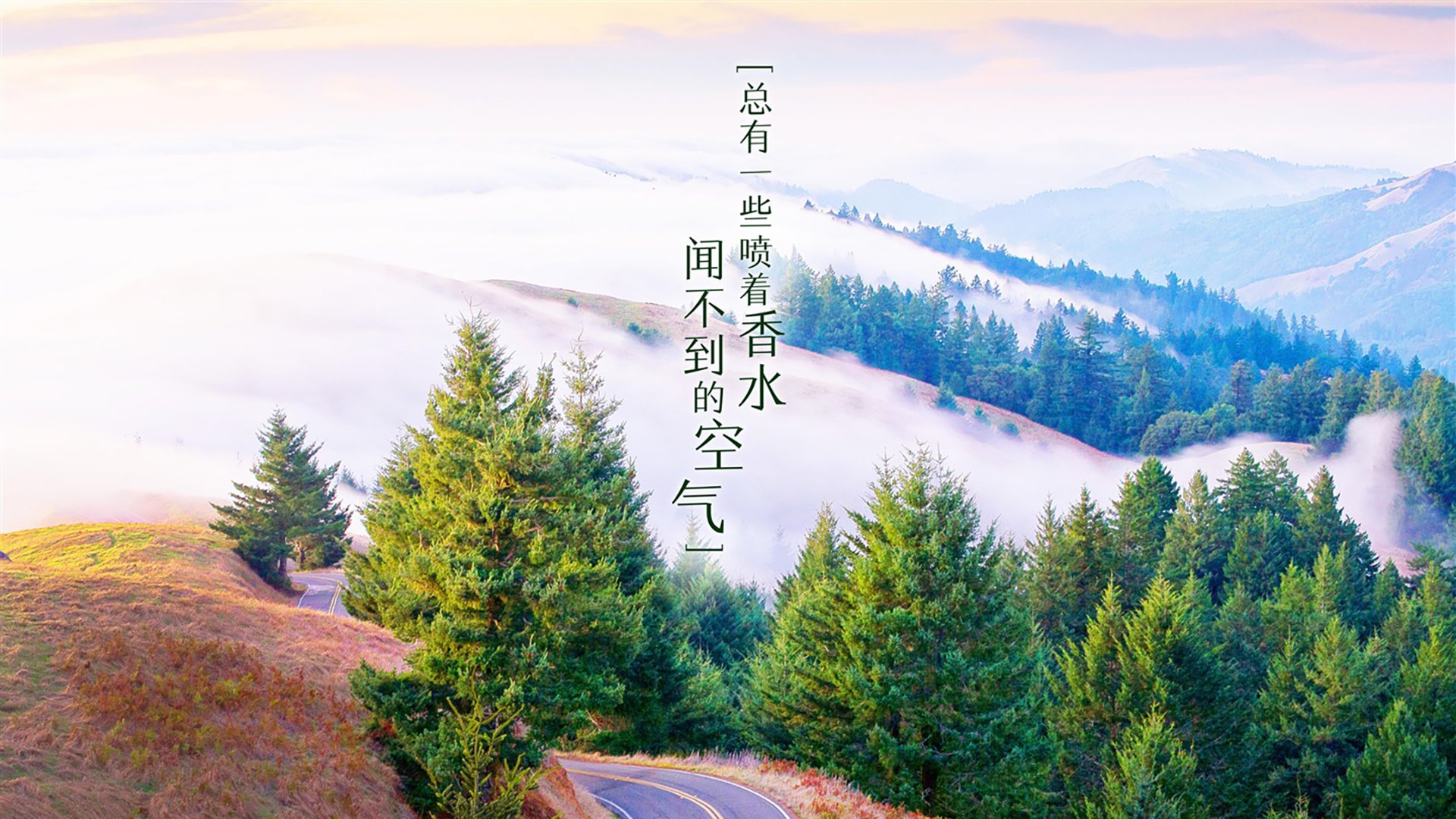 孤星耀世,2026世界杯半决赛,巴雷拉一人改写尼日利亚与加拿大的命运交锋