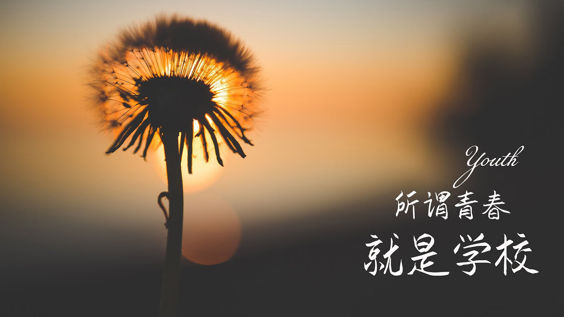 第93分钟的闪电,匈牙利如何用完美攻守转换刺穿德意志战车