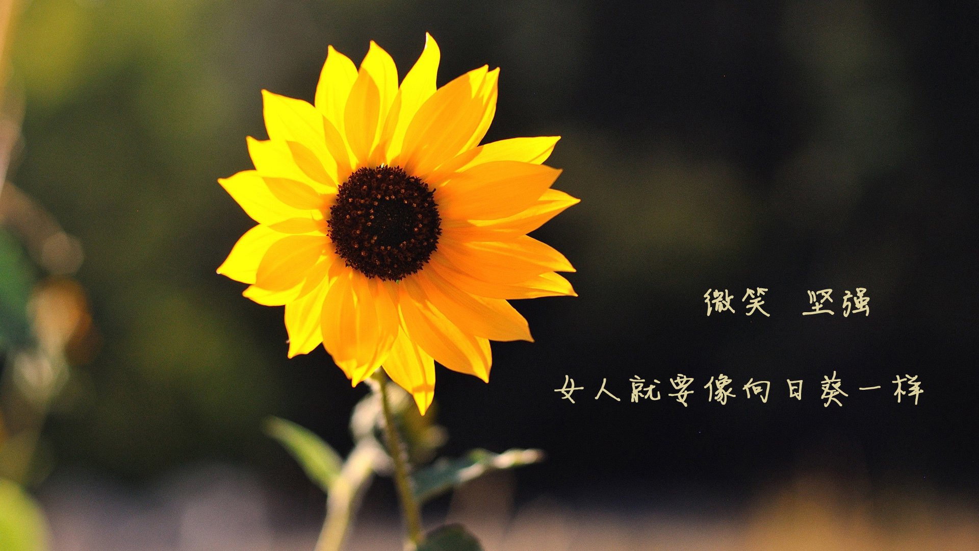 爱游戏在线-血染多哈，格列兹曼的独舞之夜—2026世界杯1/4决赛，加拿大四球大破突尼斯，书写足坛新秩序